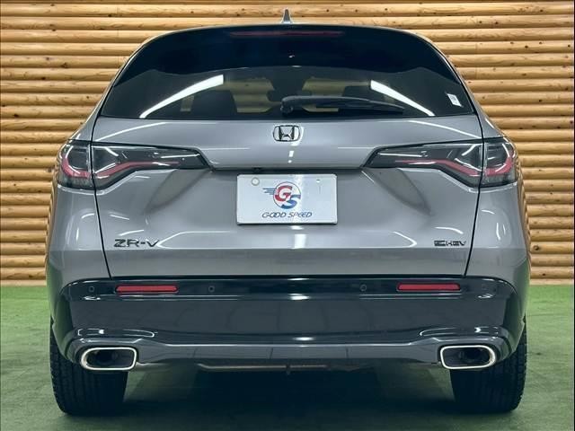 24741219_carP_l_8.jpg