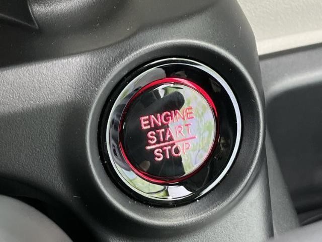 23890035_carP_l_8.jpg