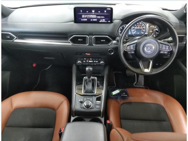 27032568_carP_l_15.jpg