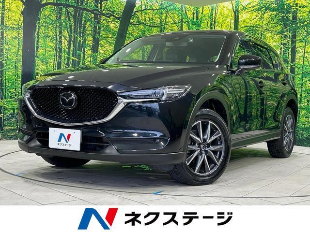 25076268_carP_l_1.jpg