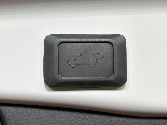 23675655_carP_l_14.jpg