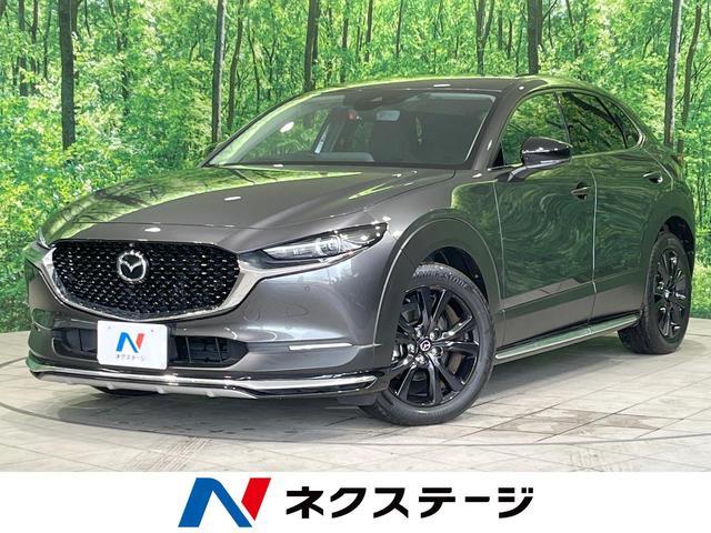 23550312_carP_l_1.jpg