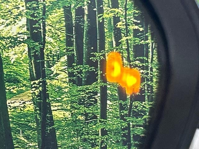 24932893_carP_l_10.jpg