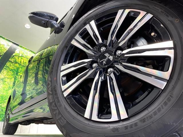 24849468_carP_l_7.jpg