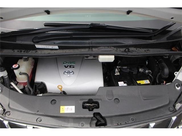 25824683_carP_l_20.jpg
