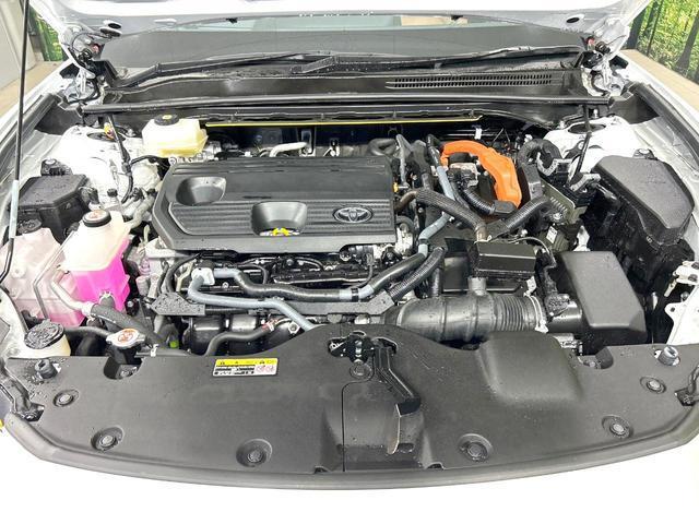24686166_carP_l_18.jpg