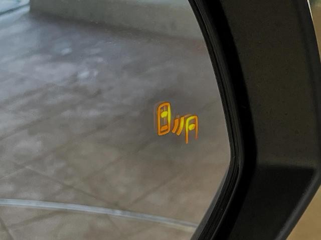 24562622_carP_l_14.jpg