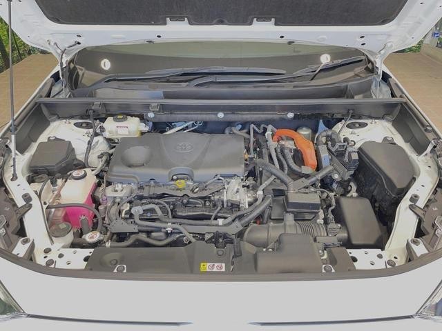 24562622_carP_l_16.jpg