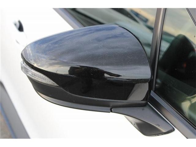 25708702_carP_l_18.jpg