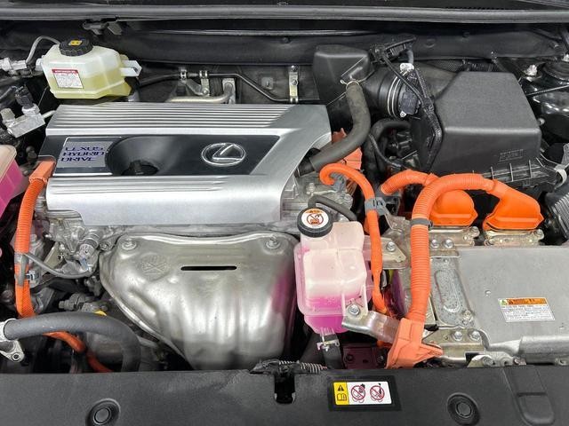 26774061_carP_l_16.jpg