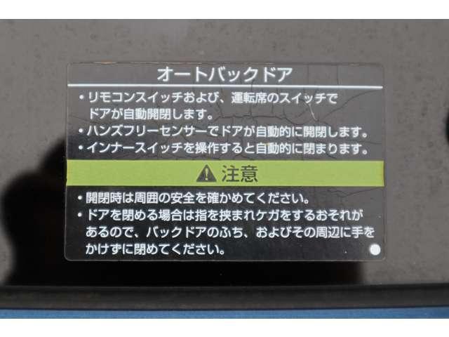 23373747_carP_l_9.jpg