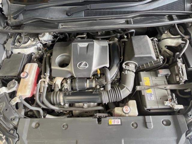 26084389_carP_l_16.jpg