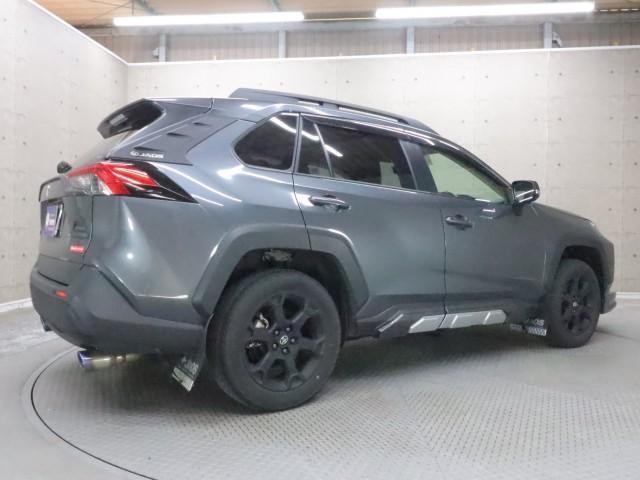 24274388_carP_l_3.jpg