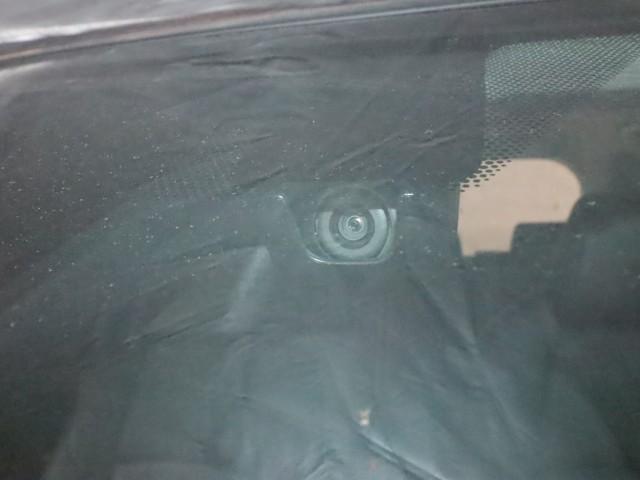 24274388_carP_l_9.jpg
