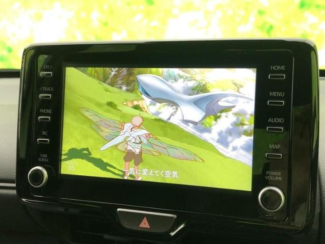 24609397_carP_l_5.jpg