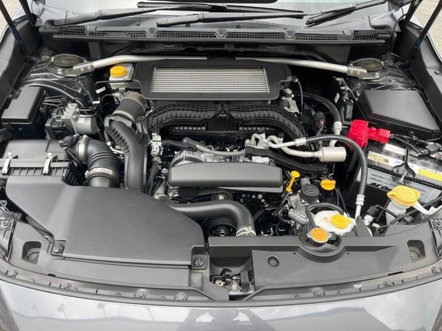 26084404_carP_l_16.jpg