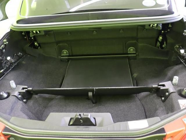 24968501_carP_l_5.jpg