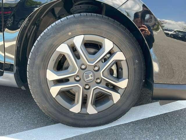 24940480_carP_l_11.jpg