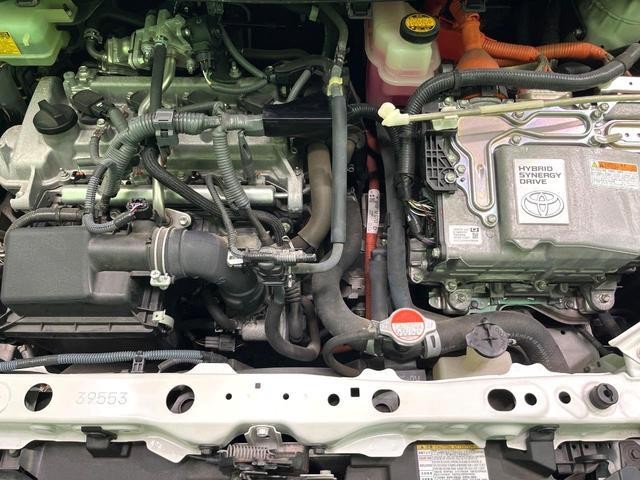 26380004_carP_l_16.jpg