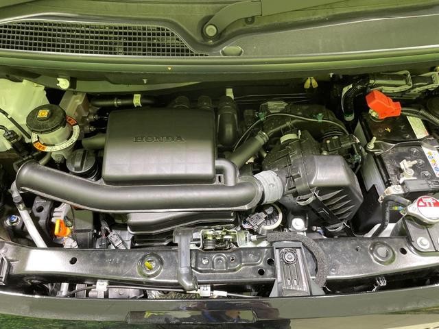 25242018_carP_l_16.jpg