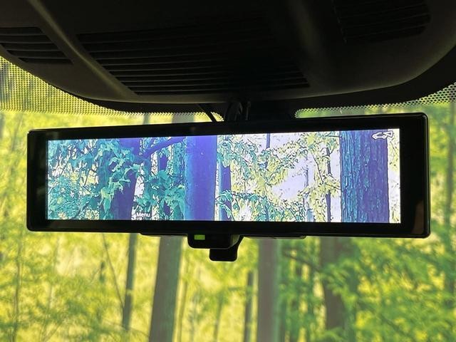 24602269_carP_l_13.jpg