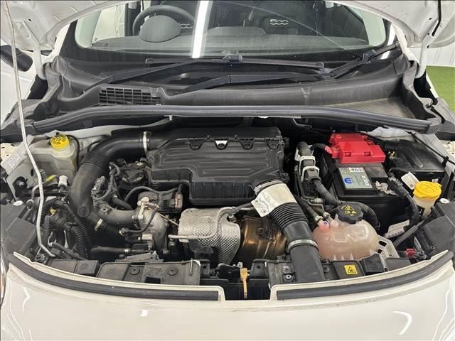 24741237_carP_l_6.jpg