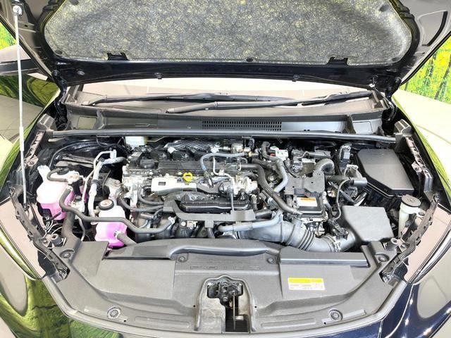 25262124_carP_l_16.jpg