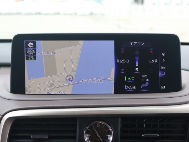 23521496_carP_l_10.jpg