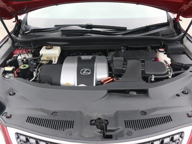 23521496_carP_l_17.jpg