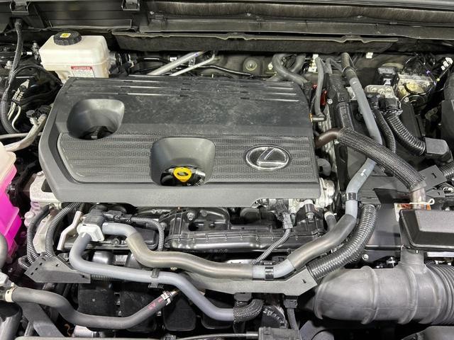 25507300_carP_l_16.jpg