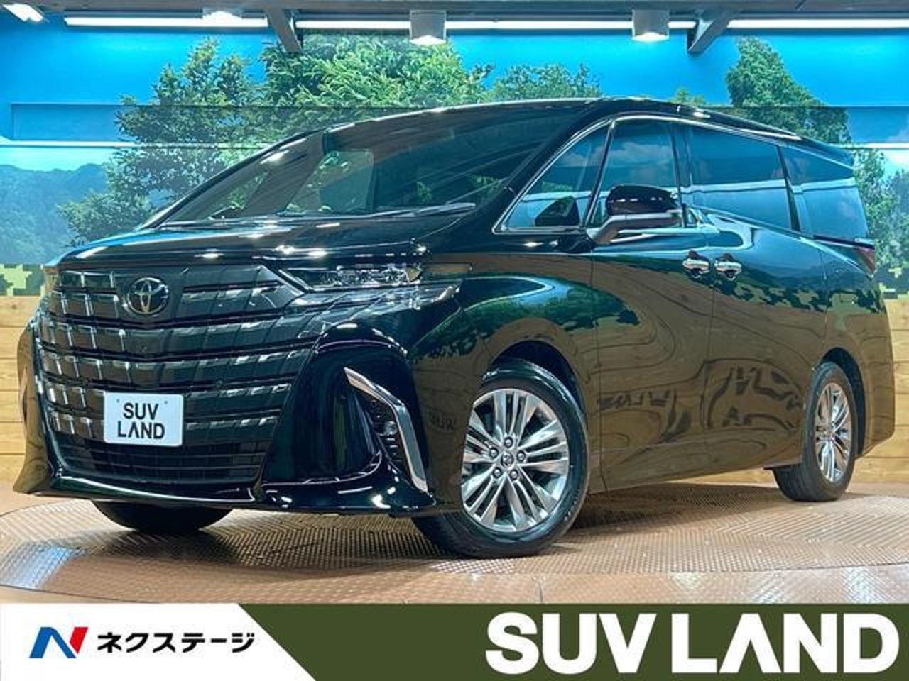 2024 Toyota Alphard, photo 1 of 1