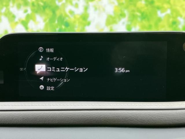 24609414_carP_l_8.jpg