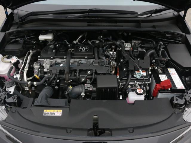 23831886_carP_l_17.jpg