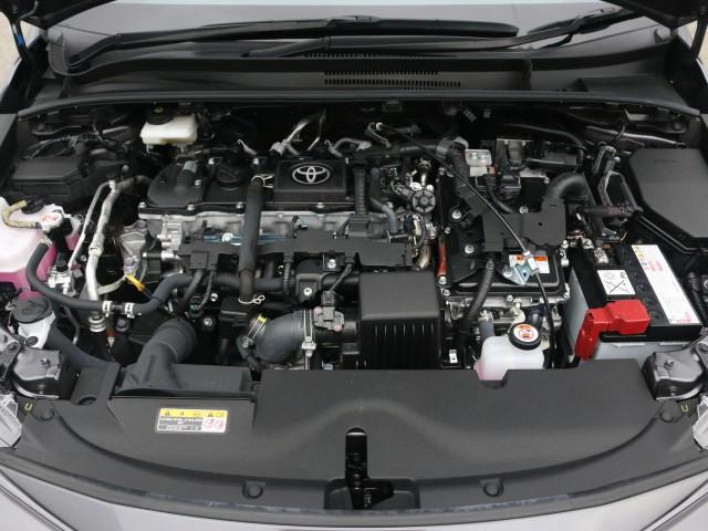 23831910_carP_l_17.jpg