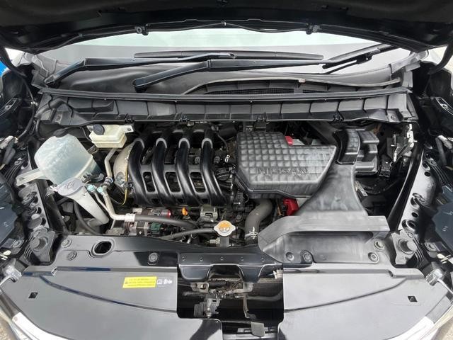 24259867_carP_l_20.jpg