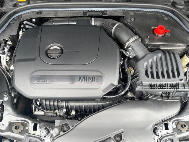 24581715_carP_l_11.jpg