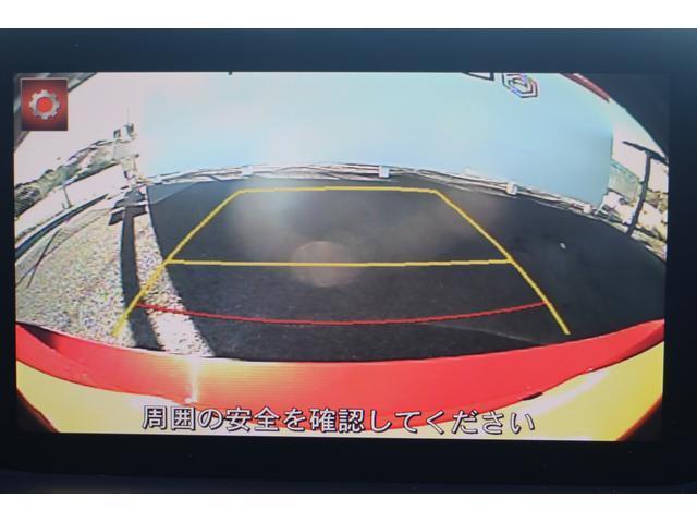 22674510_carP_l_4.jpg