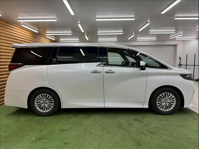 24395441_carP_l_16.jpg