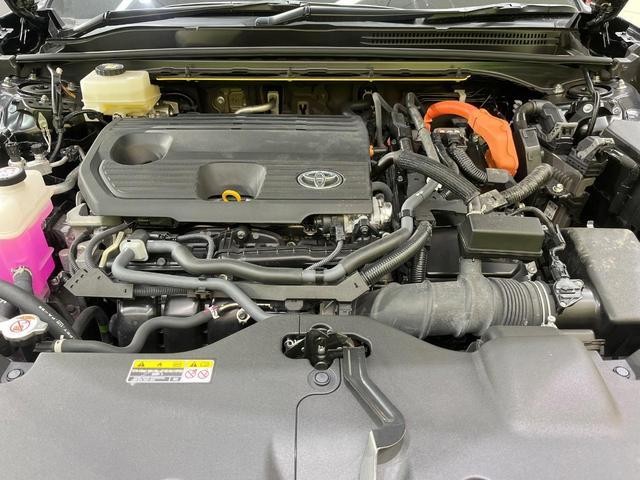25283506_carP_l_16.jpg