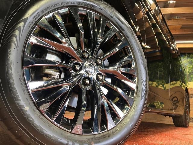 25486638_carP_l_7.jpg