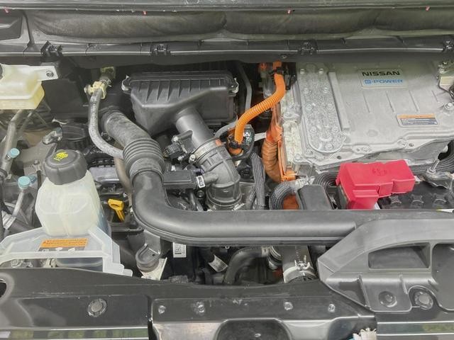 25591956_carP_l_16.jpg