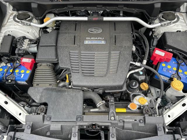 24400838_carP_l_16.jpg