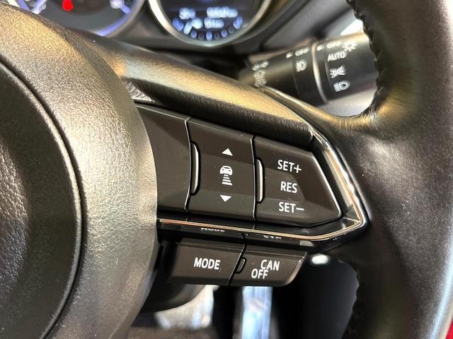 25117389_carP_l_17.jpg