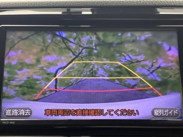 24618822_carP_l_6.jpg