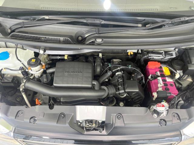 24500672_carP_l_16.jpg