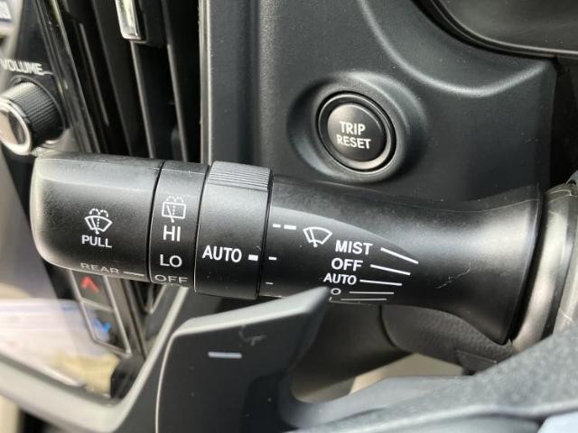 26257037_carP_l_11.jpg