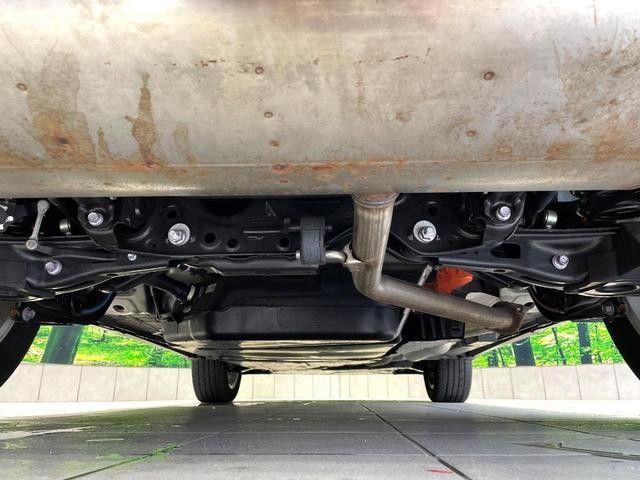 24219204_carP_l_18.jpg