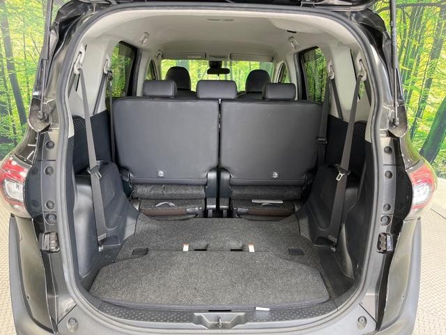 25405290_carP_l_6.jpg