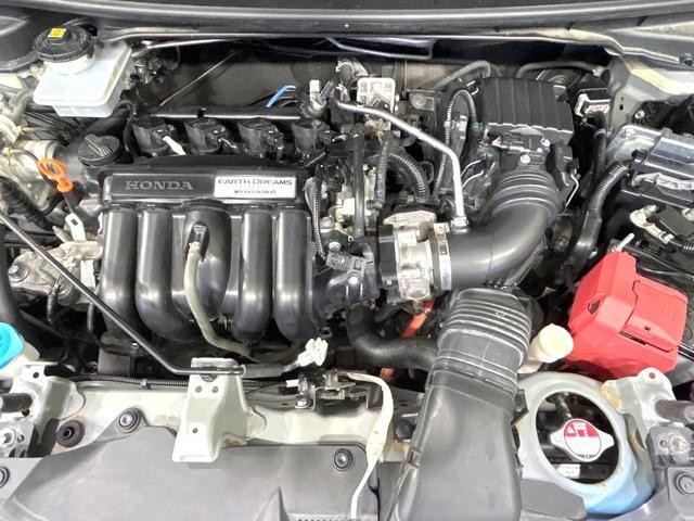 26064087_carP_l_16.jpg