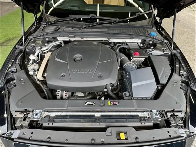 24395476_carP_l_6.jpg